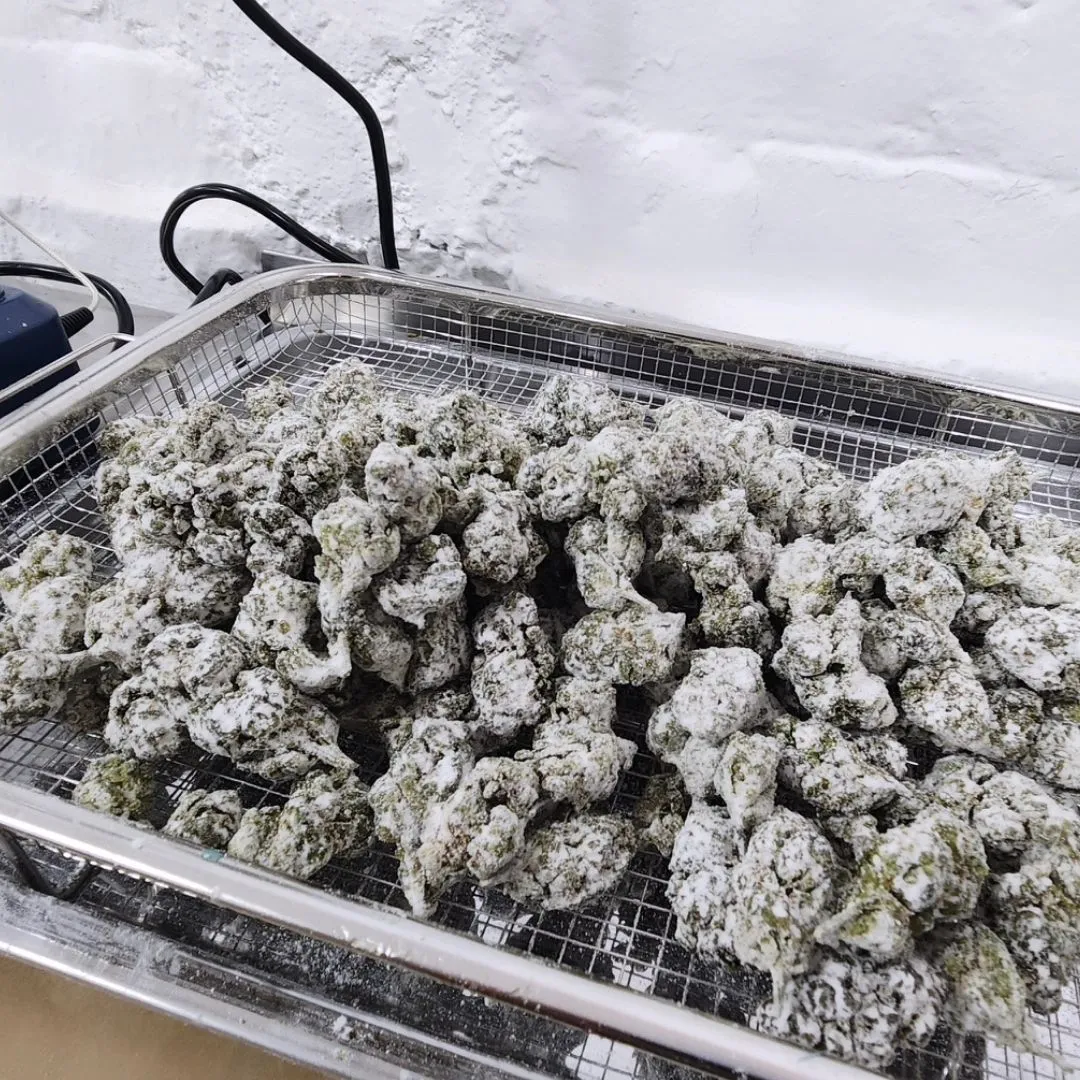 Cannabis product development process